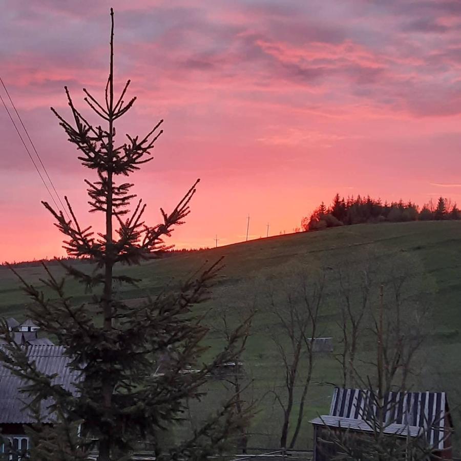 Омріяні Карпати Villa Smozhe Buitenkant foto