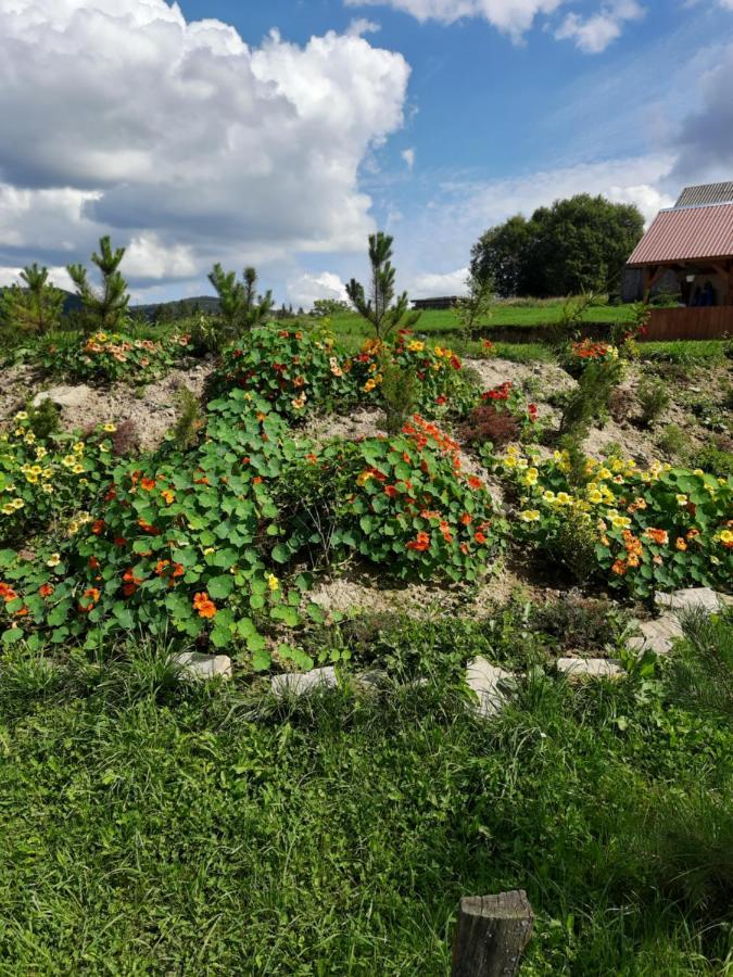 Омріяні Карпати Villa Smozhe Buitenkant foto